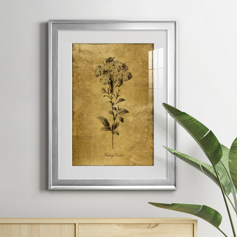 Reproduction d'art encadrée dorée Botanical II, H 30,5 po x l 22,5 po x P 1,5 po, Argent