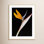 Olcott "Bird of Paradise" Print