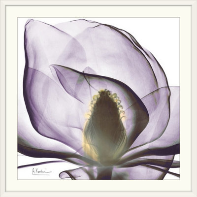 Manigault 'Magnolia X-Ray by Kiranjit Photographic Print