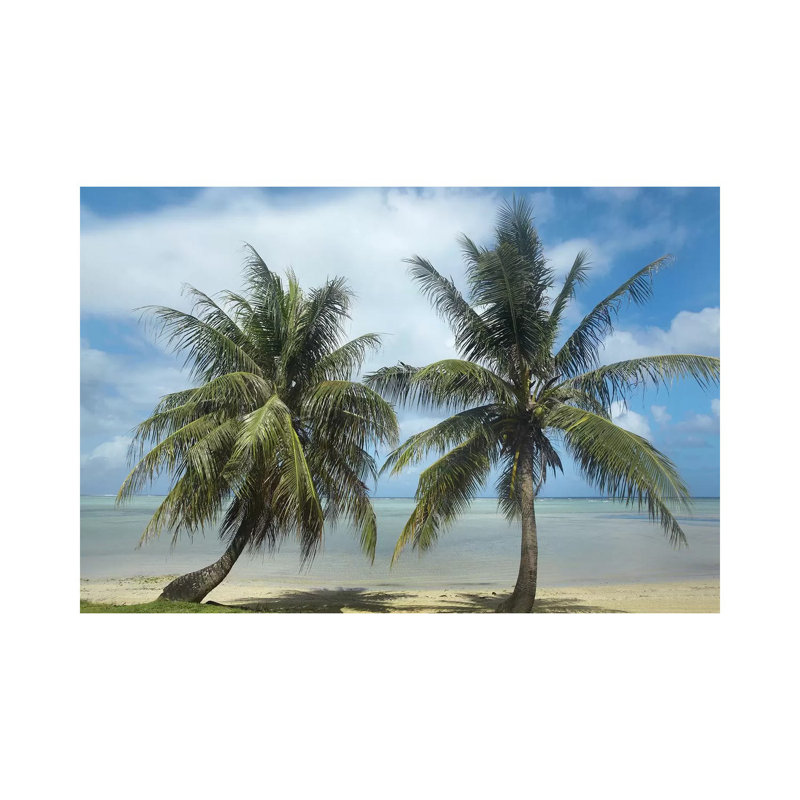Palm Trees, Agana Beach, Guam by Tim Fitzharris - Wrapped Canvas Print, 101.6 cm H x 66.04 cm W x 3.175 cm D