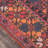 Isthia Oriental Indoor Rug-479852025