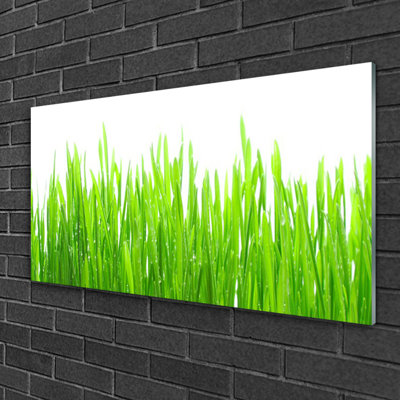 Nature Grass 1 Piece Wall Art on Glass