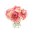 Peonies Arranged in Glass Vase-1080481426