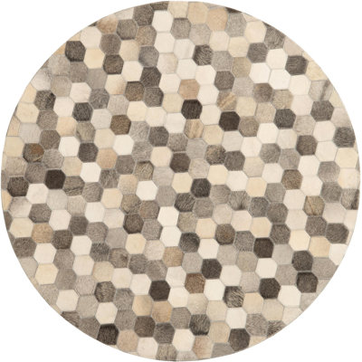Shasa Abstract Indoor Rug