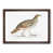 Walnut Framed selected