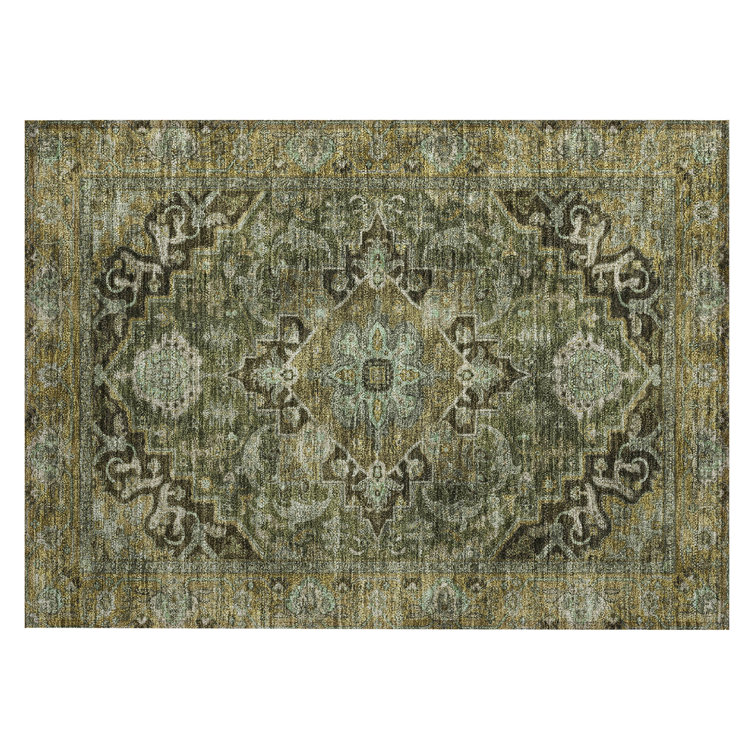 Machine Washable Indoor/Outdoor Arline ACN2165 Global Rug