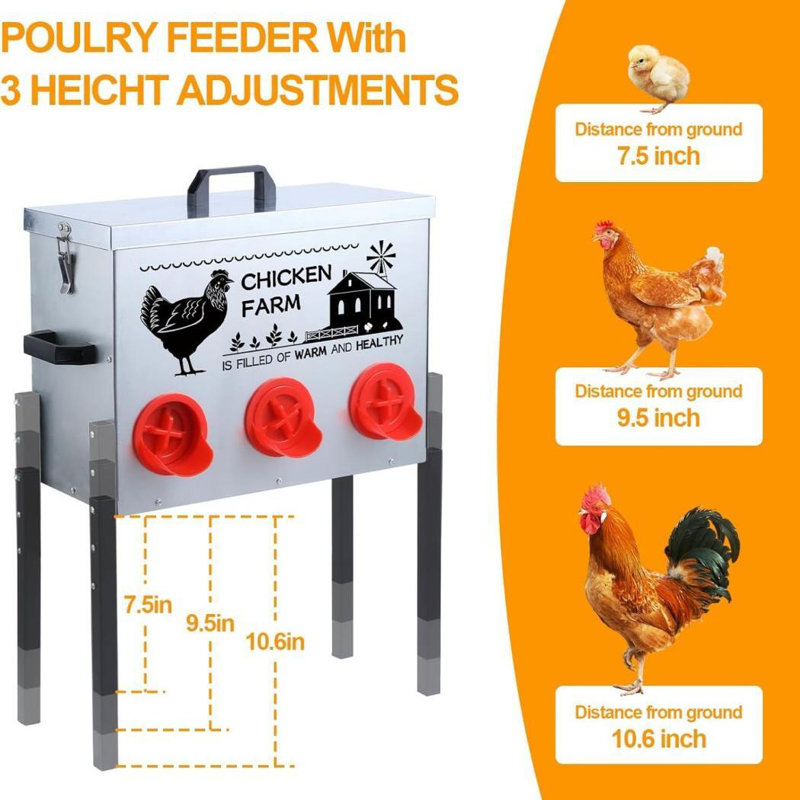 Automatic Chicken Feeder Box