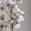 Orchid in Low Ceramic Pot 580mm-1342967985