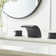Widespread 2-handle Bathroom Faucet with Drain Assembly