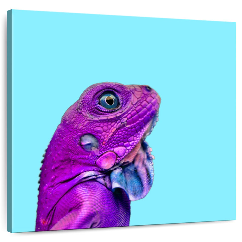 Crowle Lizard, 39" H x 39" W