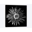 Mum Special I, B&W by Magda Indigo - Gallery-Wrapped Canvas Giclée-31920309-73561119-73561120