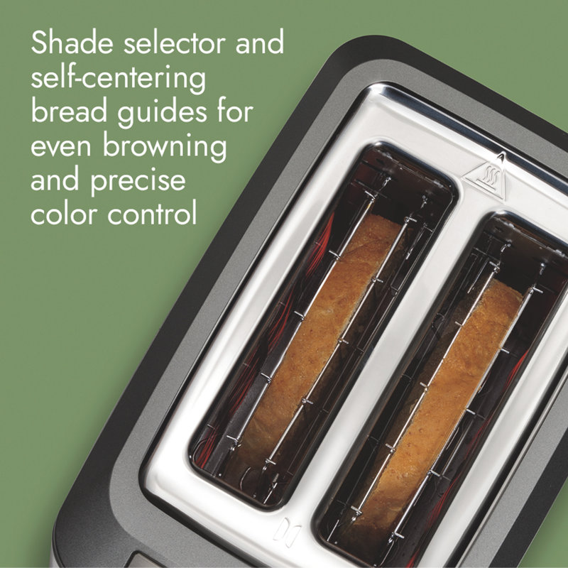 Professional Series The Two Slice Precision Toaster