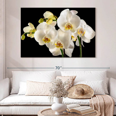 Fleurs d'orchidée blanches fraîches Harnek