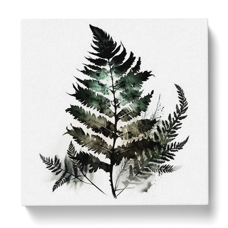 Fern Leaf Ink Wash - Print, 50cm H x 50cm W x 3cm D