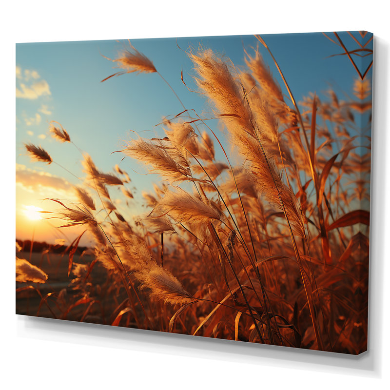 Golden Grass Field At Sunrise sur impression sur toile, Toile tendue, H 34 po x l 44 po