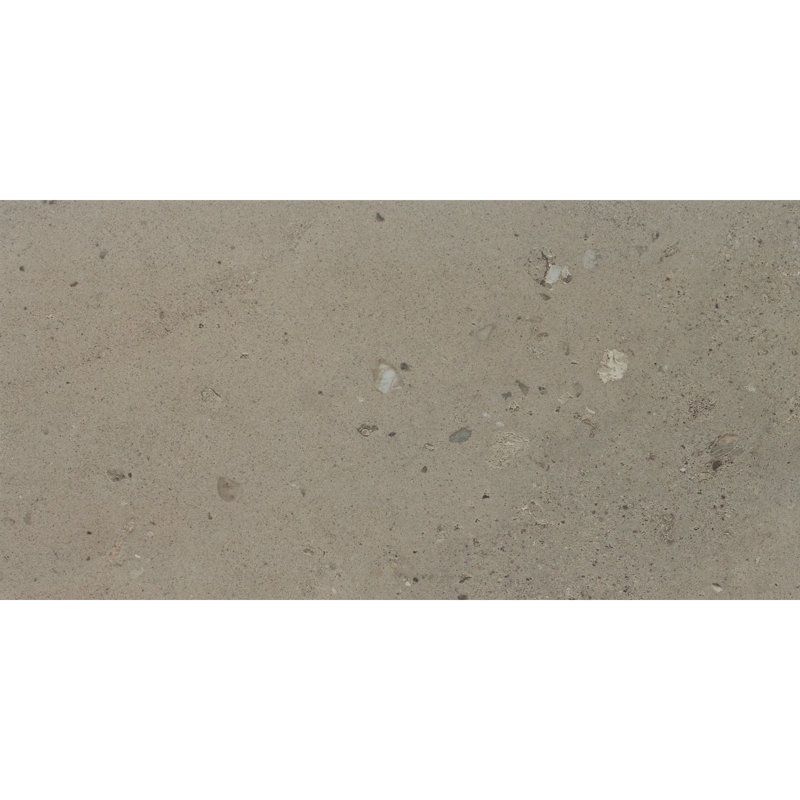 Daltile Sand and Stone 12 x 24 Floor Tile (6 PC Per Carton) (11.57 SQFT Per Carton), Dune