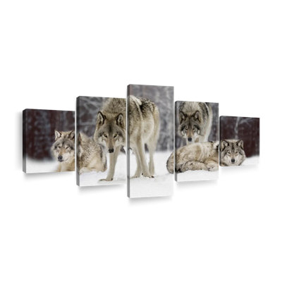 Wolf " Wolf Pack " 5 - Pieces