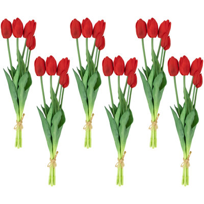 Tiges de tulipes