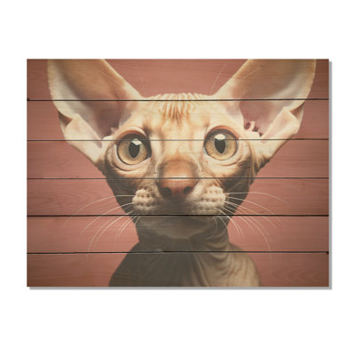 Peterbald Playfulness Cat Portait - Art mural en bois sur bois de pin naturel