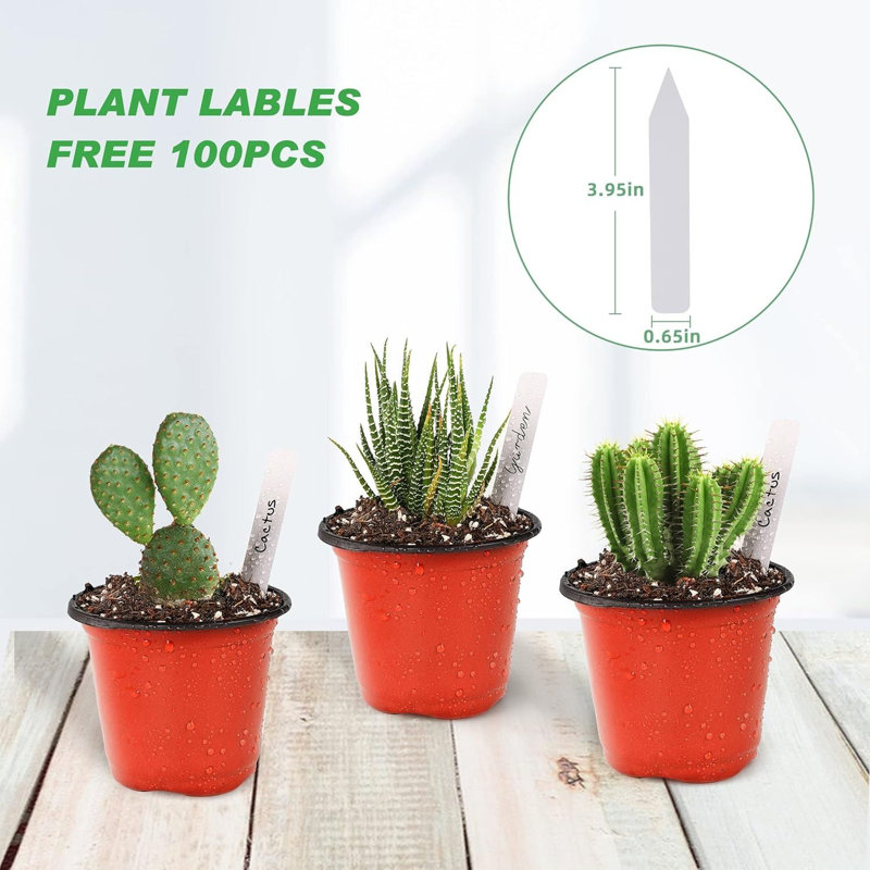 Ensemble de 6 pots de 6 pots en plastique avec étiquettes