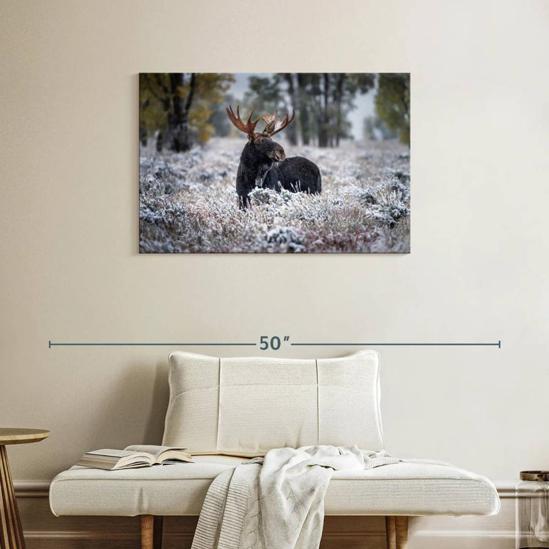 Brampt Frosty Black Moose, 24" H x 36" W