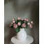 Rose anglaise mauve 23 po