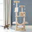 Ginny 162cm H Cat Tree-706936040-738987873