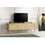 Shamong TV Stand-1719934098