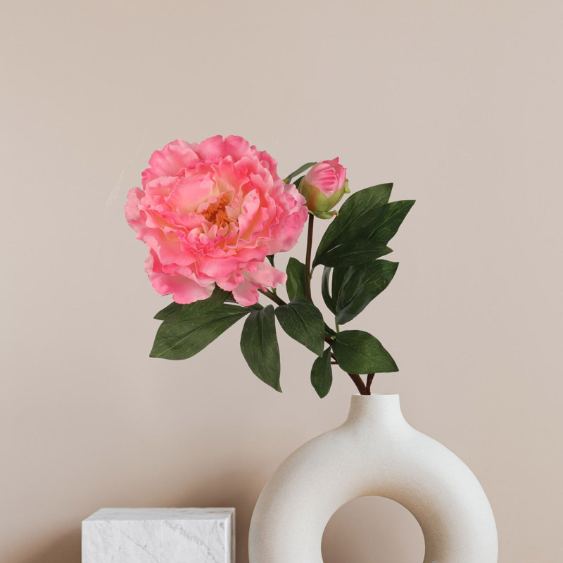 Tige de pivoine, Rose, 3