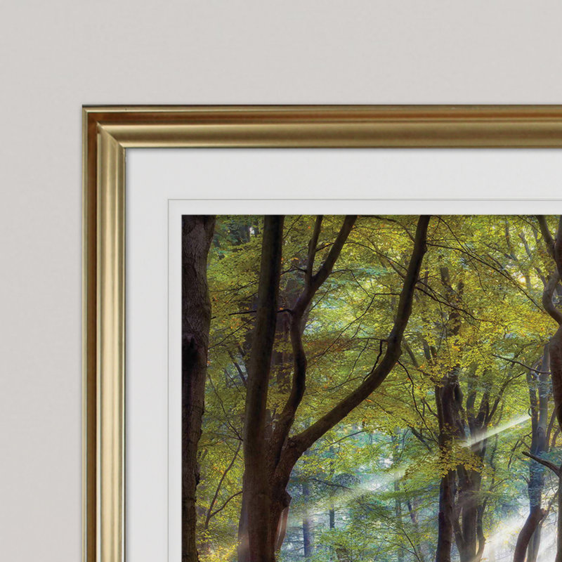 Majestic Morning - impression, Cadre doré, H 28 po x l 38 po x P 1,5 po
