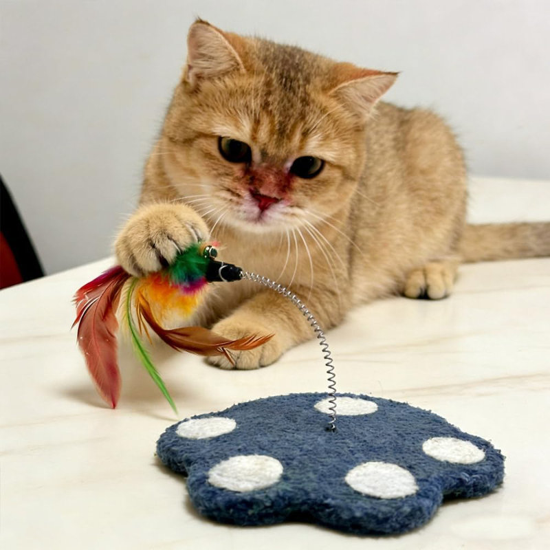Scratching Post