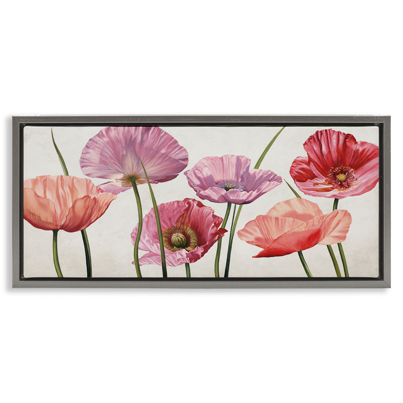 Mélange de coquelicots aux pétales éclatants, Cadre flottant gris lustré, H 11 po x l 25 po