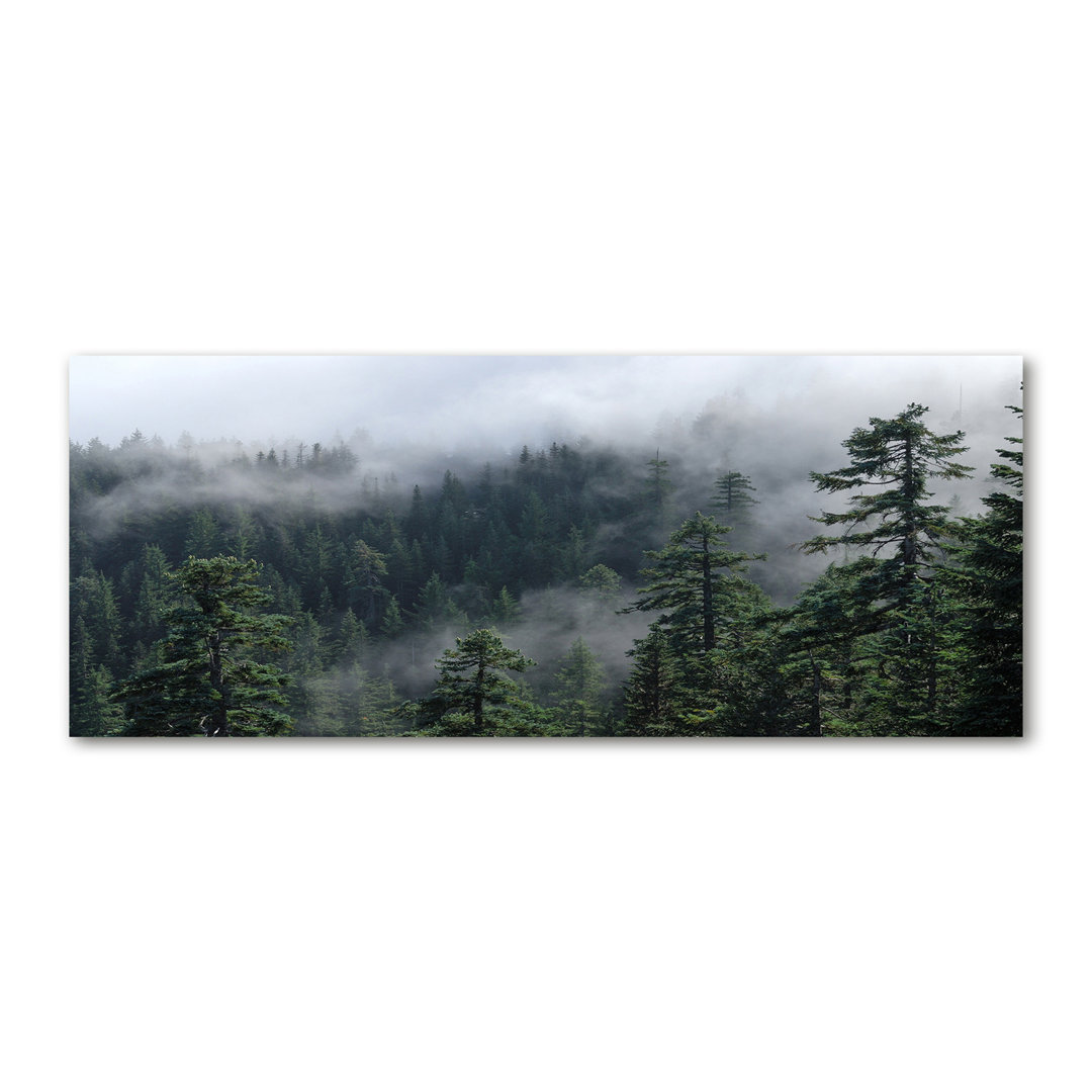 Waldnebel - Kunstdrucke auf Leinwand - Wrapped Canvas