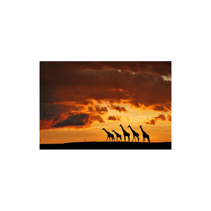Wrapped Canvas Print, 81.28 cm H x 121.92 cm W