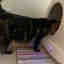 Customer photo 2 of 2