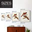 Impression encadrée Elegant Trogons IV - bois massif-1341469332-1341469343