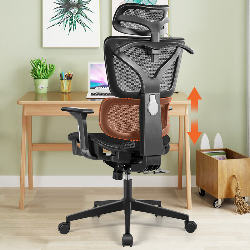 Franich Nylon Office Chair with Headrest, Black