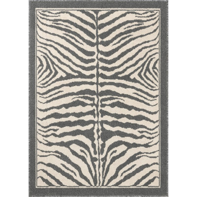 Equiferus Teonni Rug
