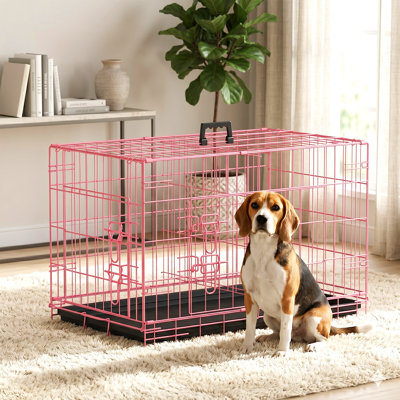 Cage pour chien Cage pour chien portative et pliable pour l'intérieur et l'extérieur Résistant aux intempéries Chenil pour chien en métal à double porte verrouillable avec cage et poignée de plateau amovible pour chien