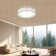 Chic Iron Bird's Nest LED Ceiling Light 5-Class Dimmble