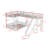 Bunk Bed With Slide And USB Ports-1768841286