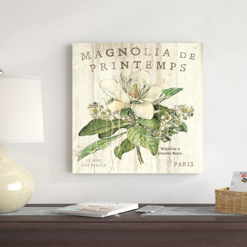 Magnolia De Printemps, H 20 po x l 20 po