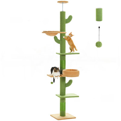 [87 "-101.2"] Arbre à chat Cactus