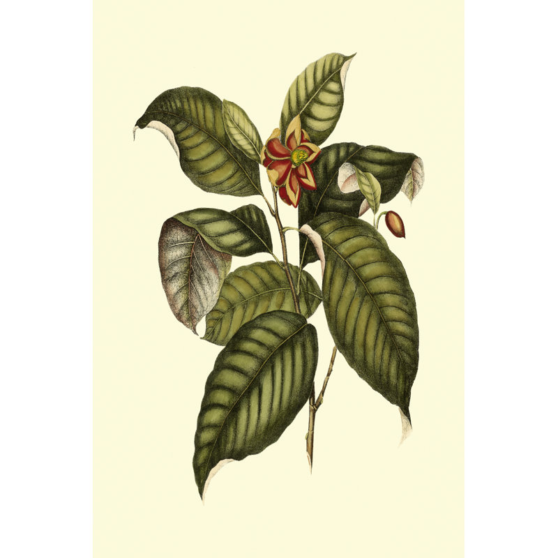 Magnificent Foliage IV - Wrapped Canvas Print, 46cm H x 30cm W