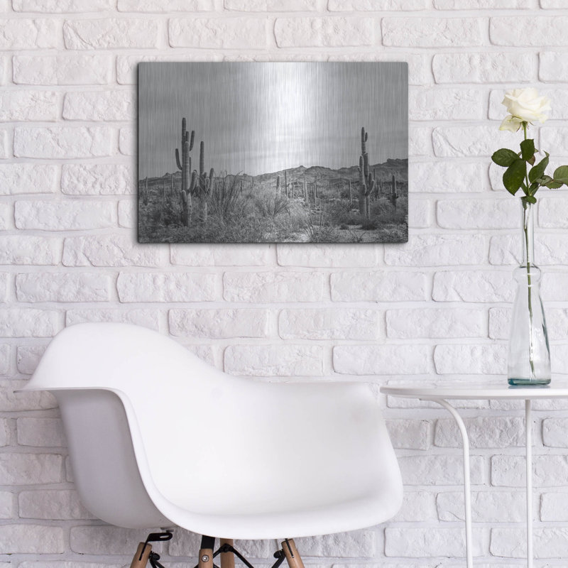 Art mural en métal Union Rustic «Sonoran Wonderland Bw» par Nathan Larson, H 16 po x l 24 po