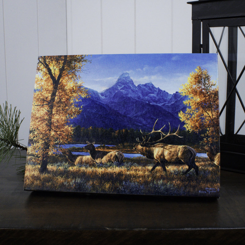 Teton Range 8x6 Lighted Tabletop Canvas
