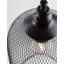 Fuchs 1 - Light Black Jar Pendant