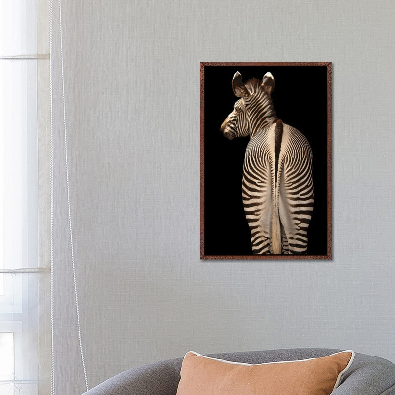 Grevy's Zebra At The Lee G Simmons Conservation Park And Wildlife Safari Near Ashland, Nebraska 1 Piece Wall Art on Canvas