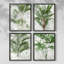 Lace Palms I, ensemble de 4 reproductions encadrées-557233224-557233227