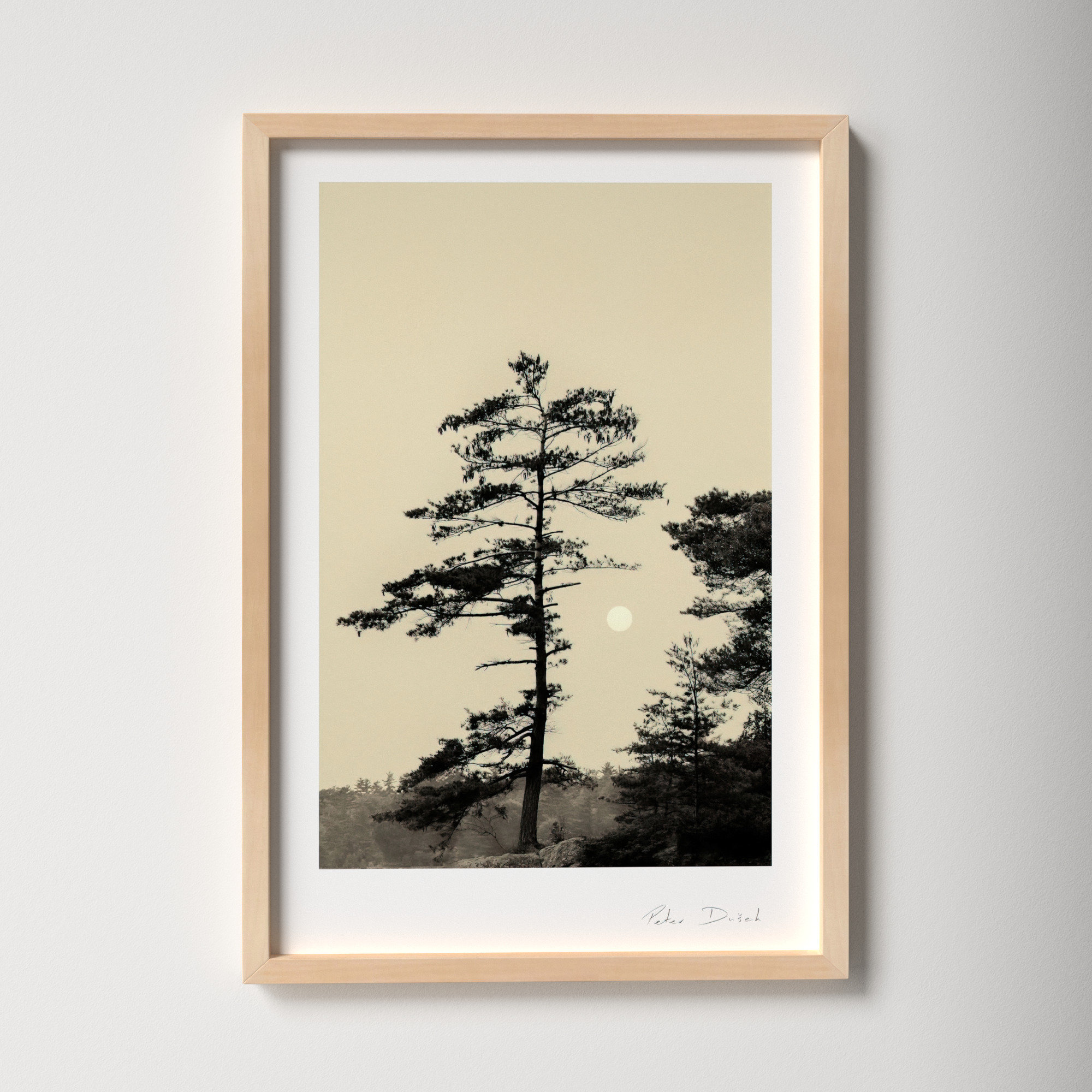 Serenity by Peter Dušek, Brown, 25" H x 17.5" W x 1.25" D